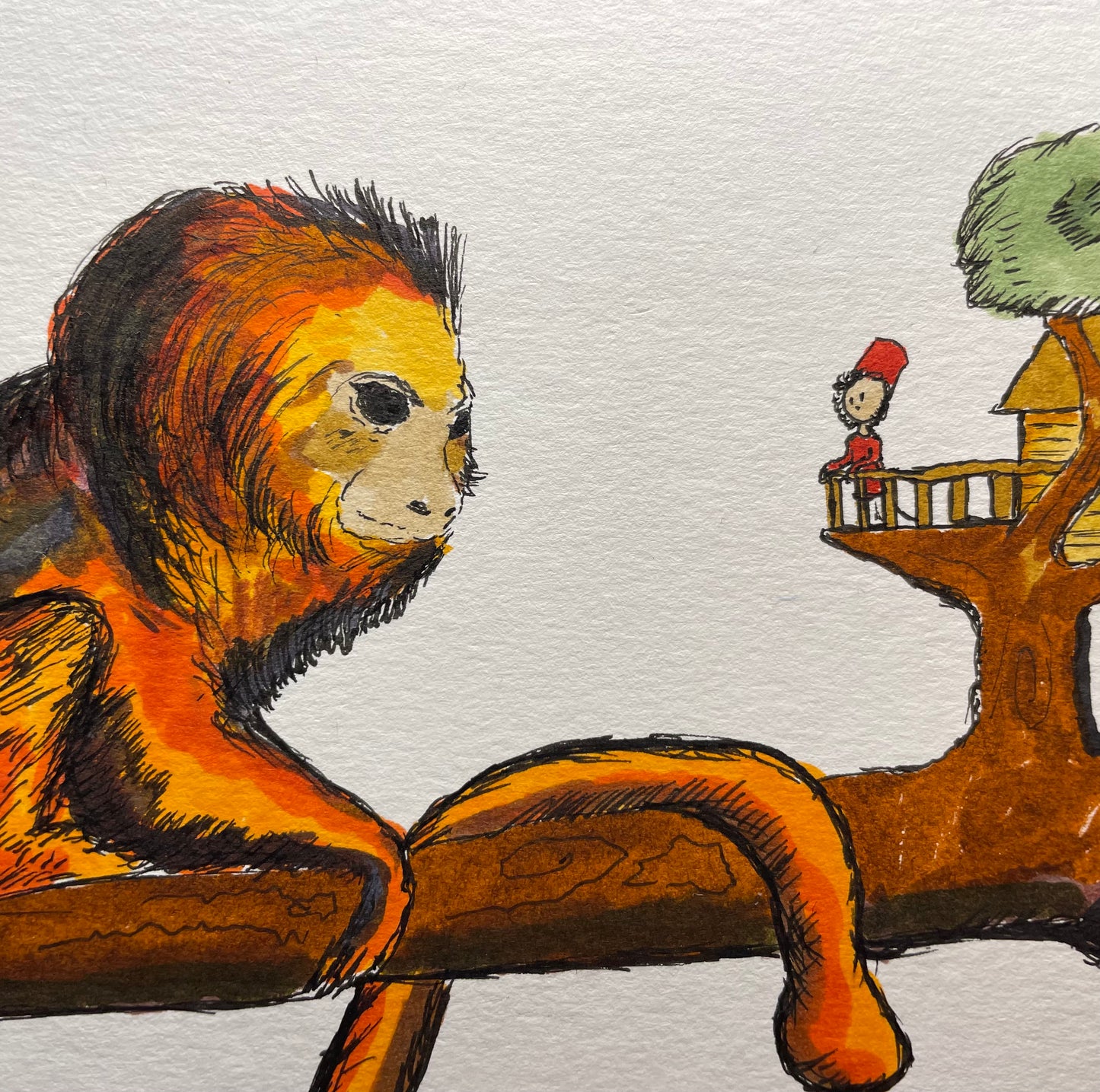 Original Drawing: The Golden Lion Tamarin